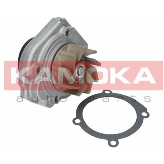 T0013 Kamoka Помпа