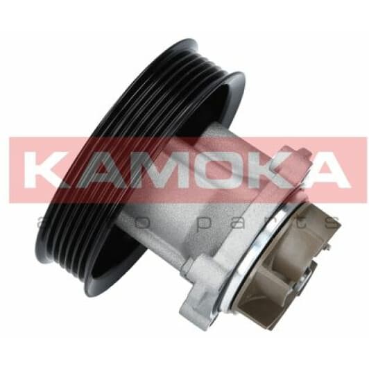 T0014 Kamoka Помпа
