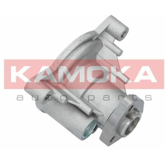 T0021 Kamoka Помпа