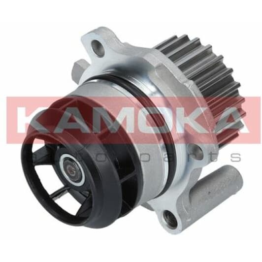 T0022 Kamoka Помпа