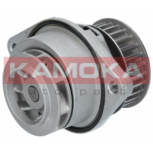 T0024 Kamoka Помпа