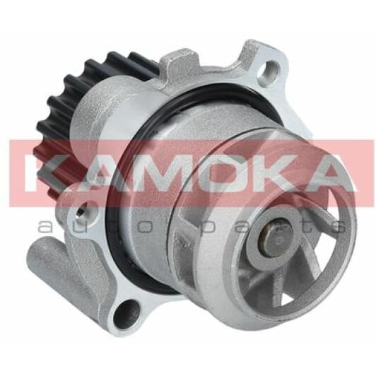 T0025 Kamoka Помпа