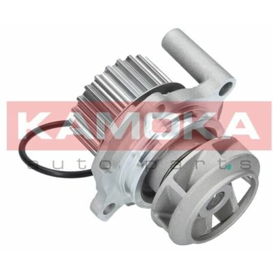 T0033 Kamoka Помпа