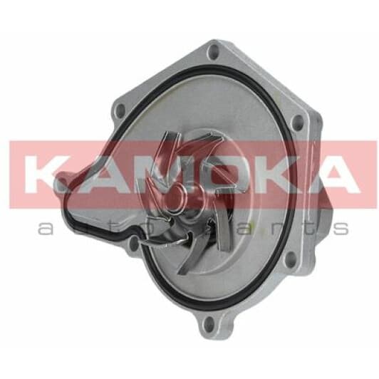 T0035 Kamoka Помпа