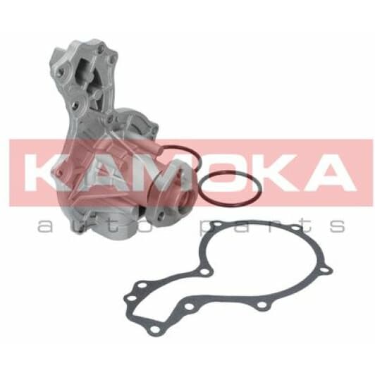 T0044 Kamoka Помпа