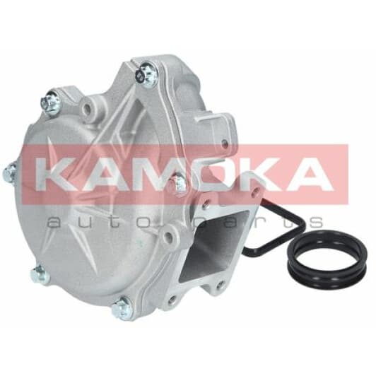 T0049 Kamoka Помпа
