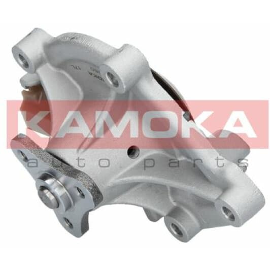 T0050 Kamoka Помпа