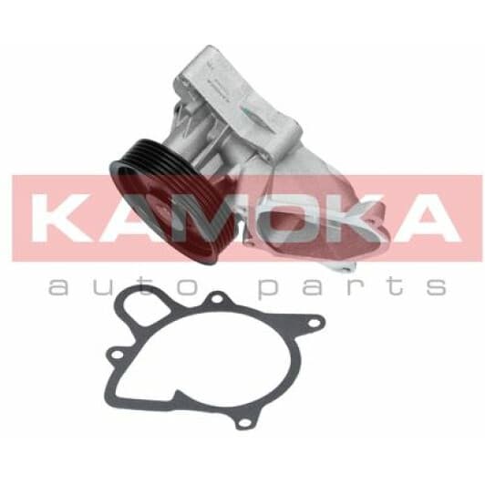 T0052 Kamoka Помпа