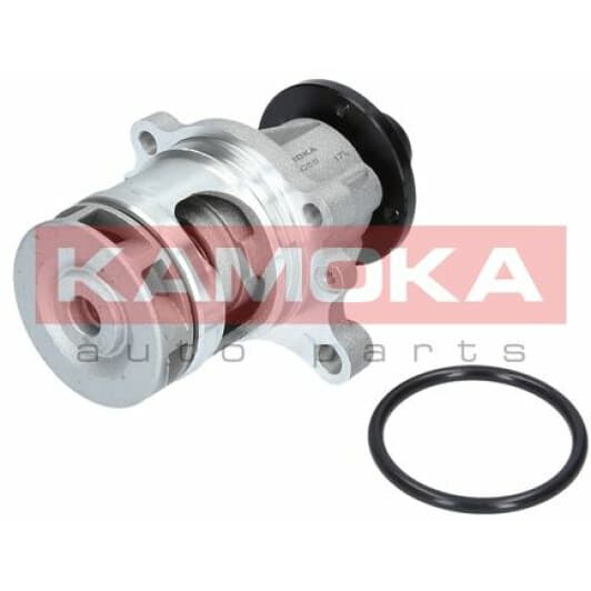 T0056 Kamoka Помпа