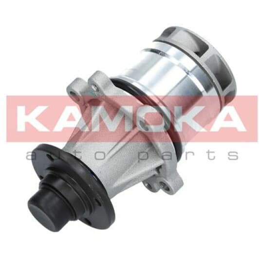 T0057 Kamoka Помпа