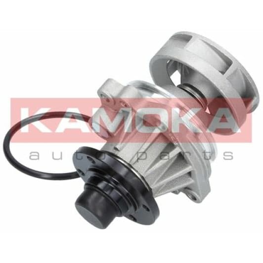 T0059 Kamoka Помпа