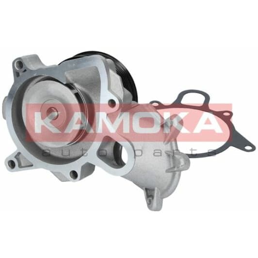 T0060 Kamoka Помпа