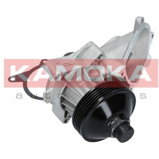 T0063 Kamoka Помпа