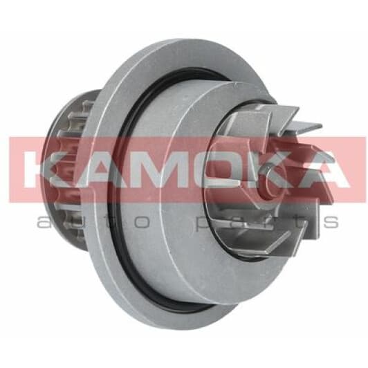 T0070 Kamoka Помпа