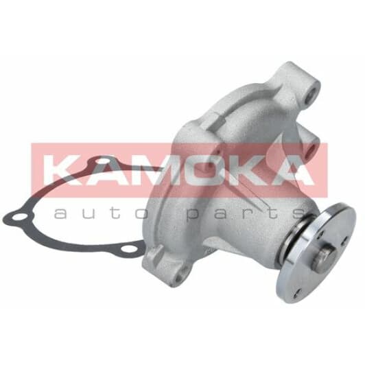 T0072 Kamoka Помпа