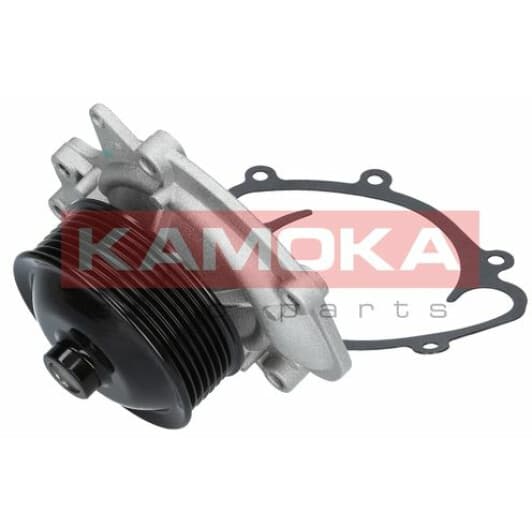 T0073 Kamoka Помпа