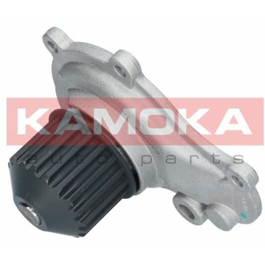 T0076 Kamoka Помпа