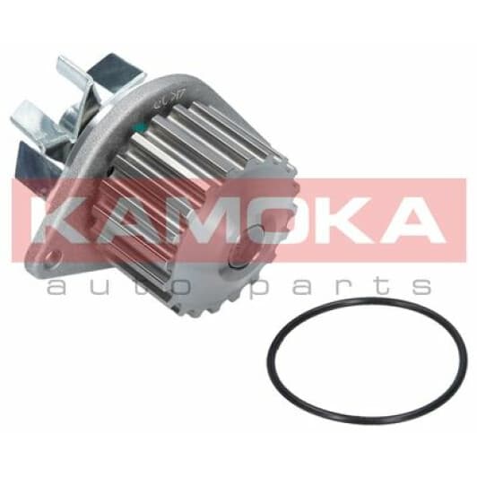 T0078 Kamoka Помпа