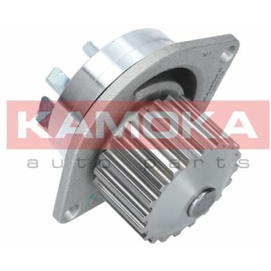 T0079 Kamoka Помпа