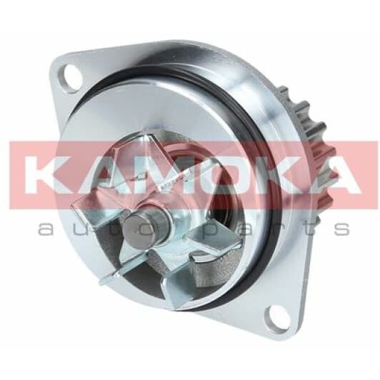 T0080 Kamoka Помпа