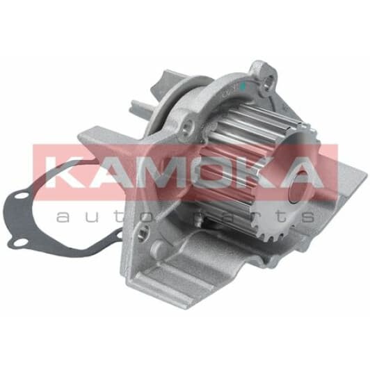 T0082 Kamoka Помпа