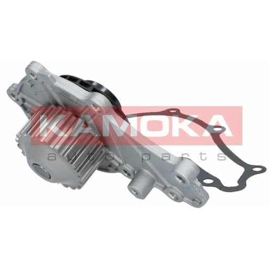 T0087 Kamoka Помпа