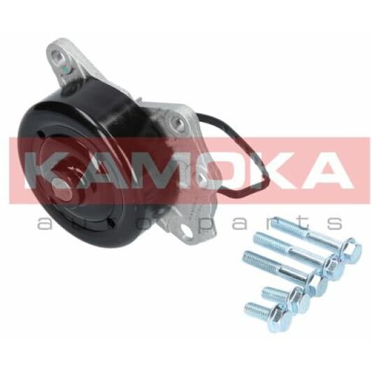 T0088 Kamoka Помпа