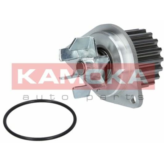 T0089 Kamoka Помпа