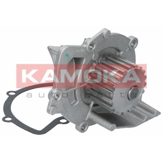 T0091 Kamoka Помпа
