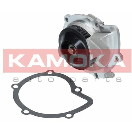 T0092 Kamoka Помпа