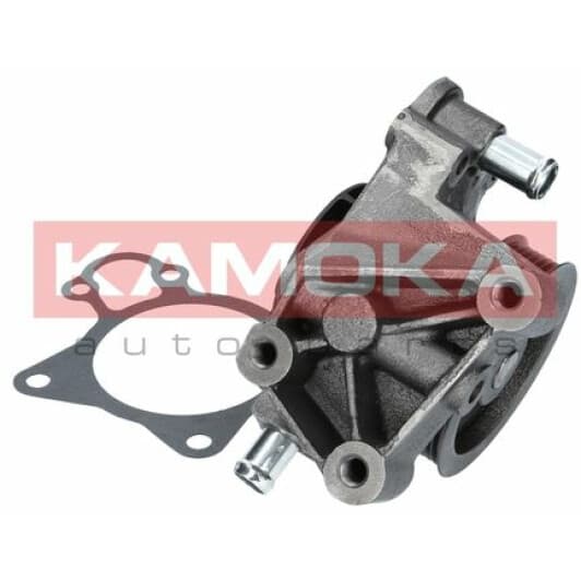 T0097 Kamoka Помпа