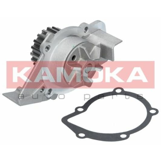 T0099 Kamoka Помпа