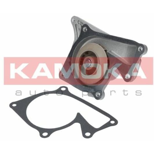 T0101 Kamoka Помпа