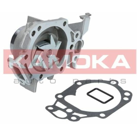 T0105 Kamoka Помпа