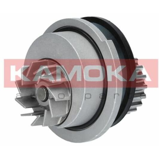 T0106 Kamoka Помпа