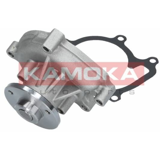 T0110 Kamoka Помпа