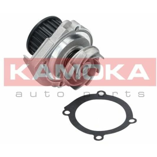 T0114 Kamoka Помпа