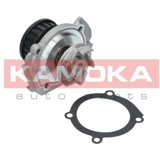 T0117 Kamoka Помпа