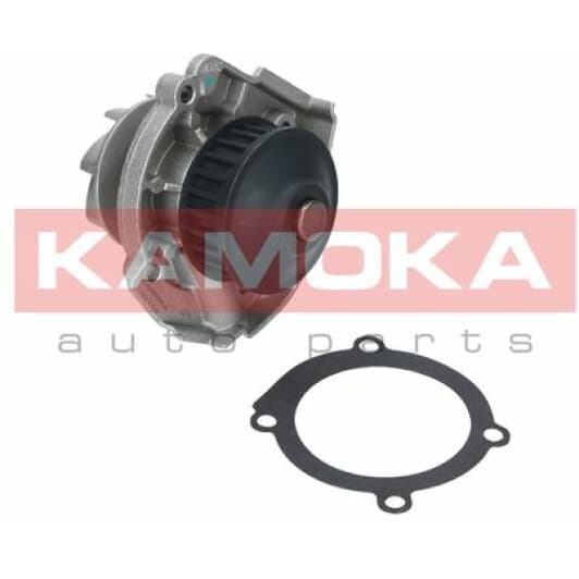 T0118 Kamoka Помпа