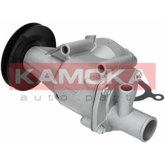 T0122 Kamoka Помпа