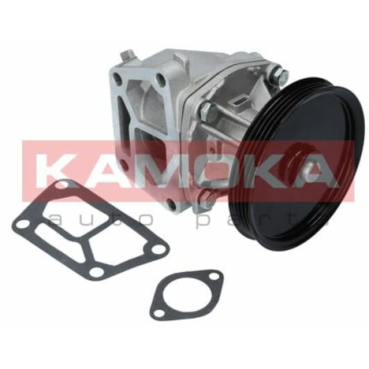 T0123 Kamoka Помпа