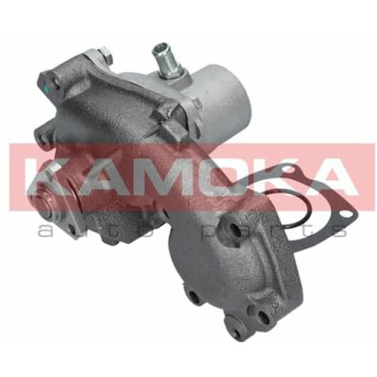 T0125 Kamoka Помпа