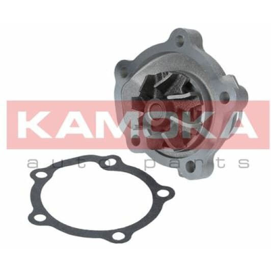 T0126 Kamoka Помпа