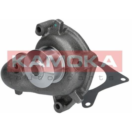 T0131 Kamoka Помпа