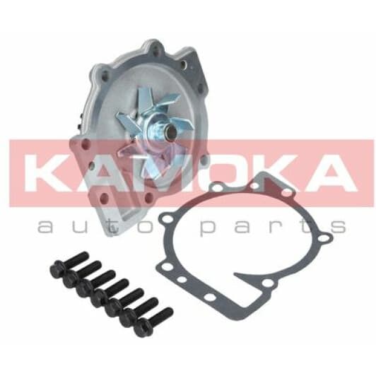 T0137 Kamoka Помпа