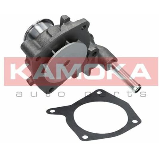T0140 Kamoka Помпа