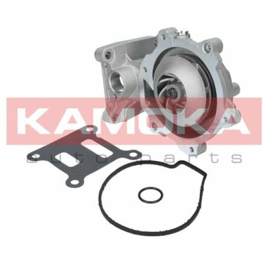 T0141 Kamoka Помпа