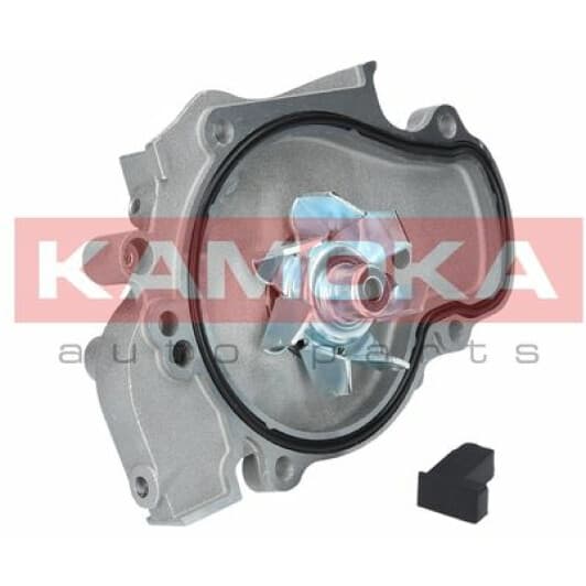 T0144 Kamoka Помпа