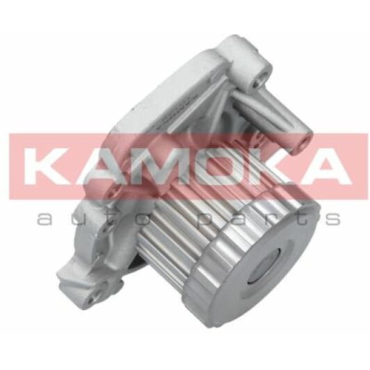 T0149 Kamoka Помпа