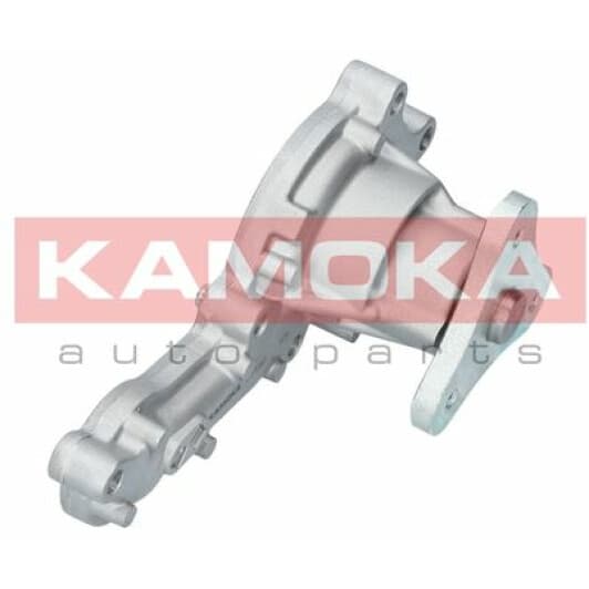 T0150 Kamoka Помпа